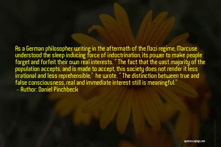 Reprehensible Quotes By Daniel Pinchbeck