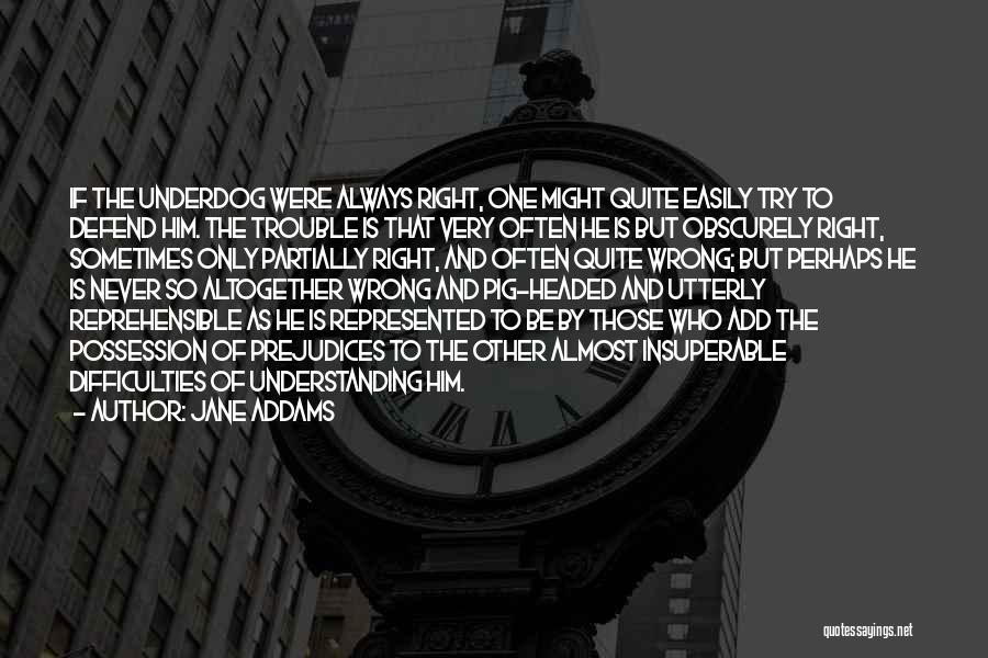 Reprehensible Quotes By Jane Addams