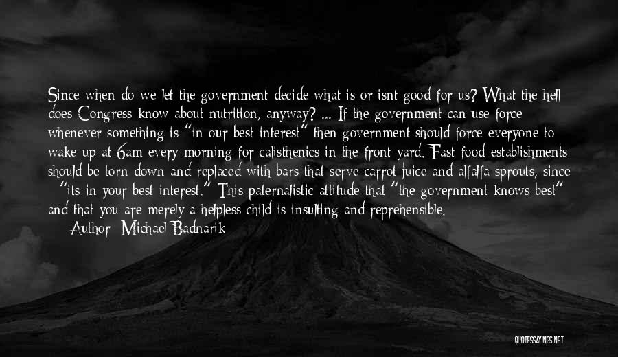 Reprehensible Quotes By Michael Badnarik