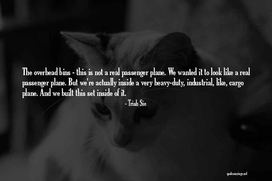 Represamento Quotes By Trish Sie Represamento Quotes By Trish Sie