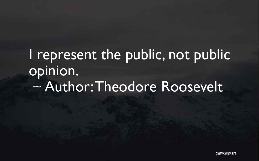 Represent Quotes By Theodore Roosevelt