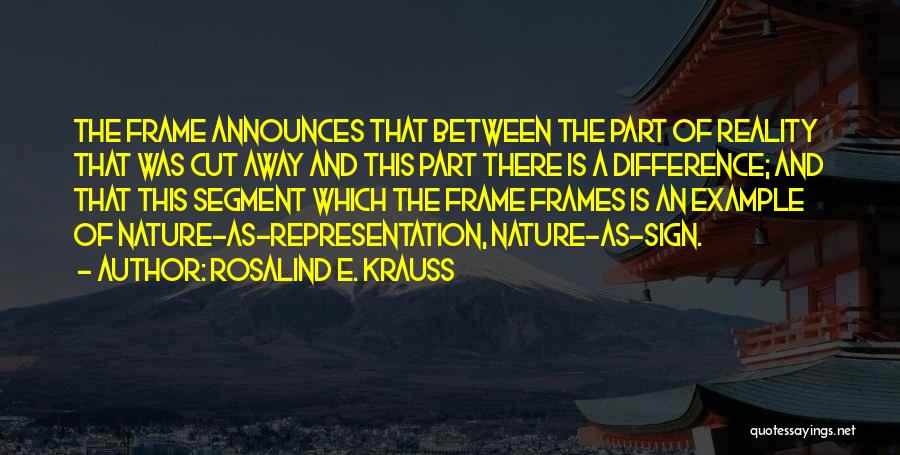 Representation Of Reality Quotes By Rosalind E. Krauss