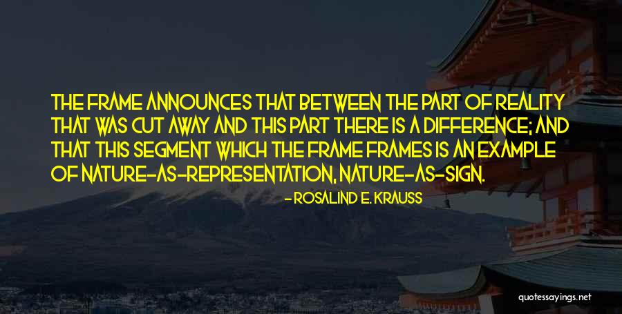 Representation Of Reality Quotes By Rosalind E. Krauss