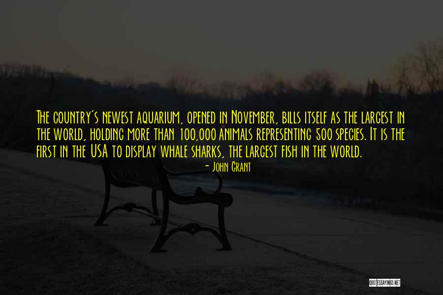 Representing Country Quotes By John Grant Representing Country Quotes By John Grant