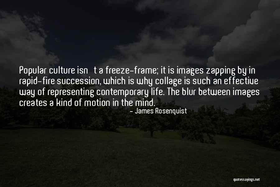 Representing Your Culture Quotes By James Rosenquist