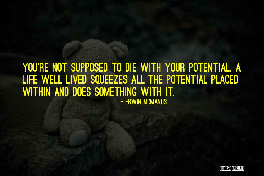 Reprises De Finances Quotes By Erwin McManus Reprises De Finances Quotes By Erwin McManus