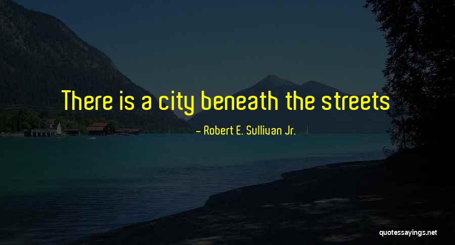 Reproached Synonym Quotes By Robert E. Sullivan Jr. Reproached Synonym Quotes By Robert E. Sullivan Jr.