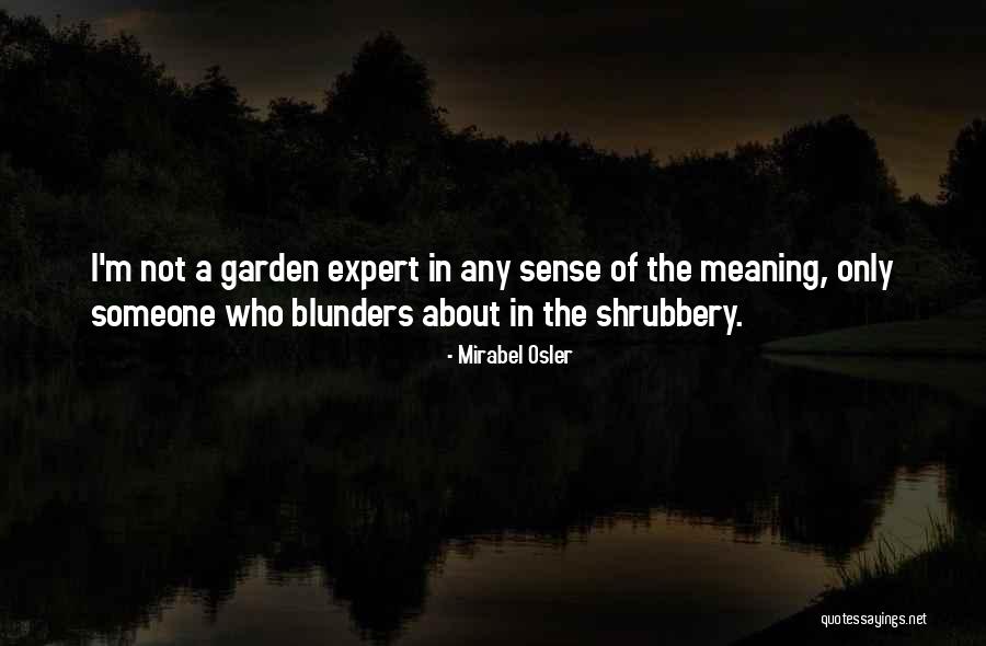 Reprobacion Quotes By Mirabel Osler Reprobacion Quotes By Mirabel Osler