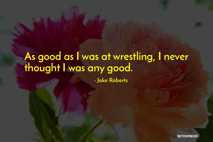 Reproches Significado Quotes By Jake Roberts Reproches Significado Quotes By Jake Roberts
