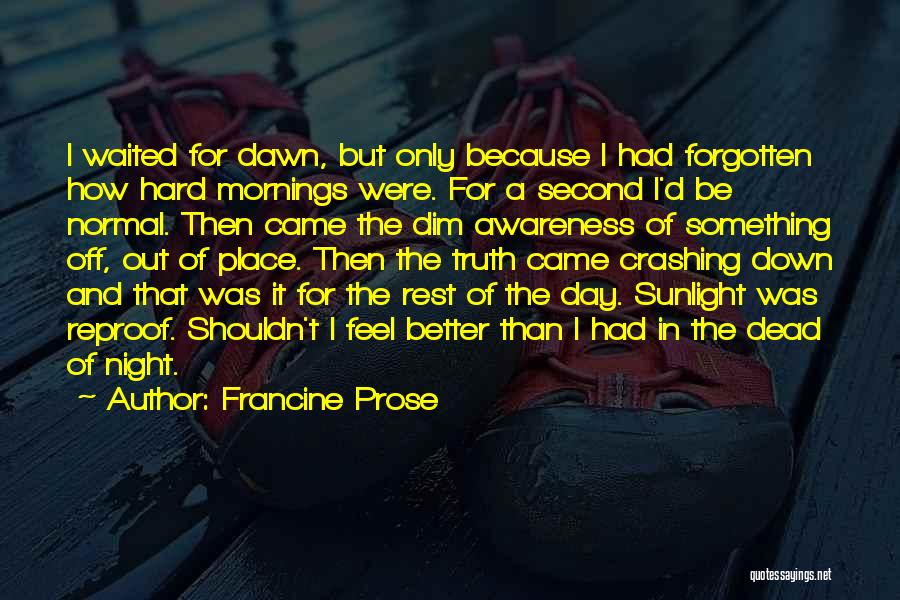 Reproof Quotes By Francine Prose