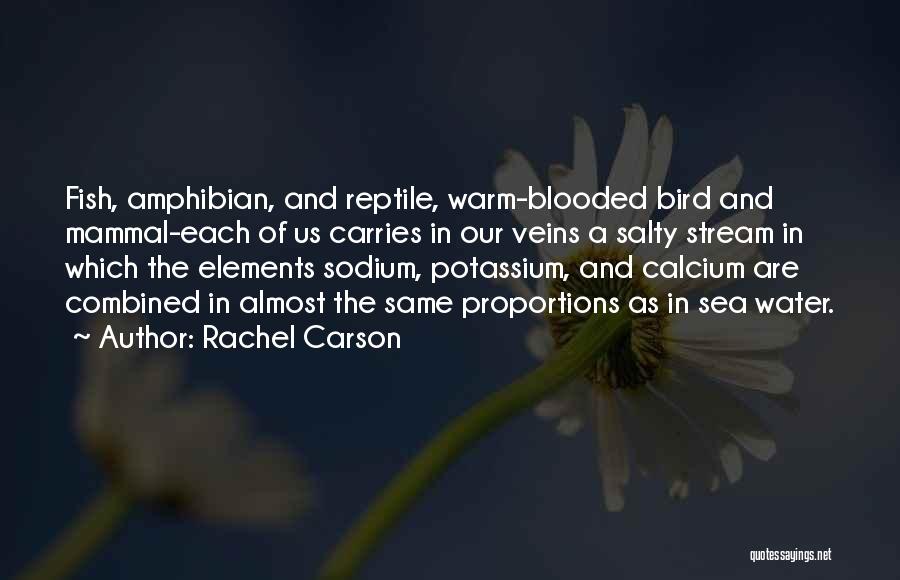 Reptile Quotes By Rachel Carson