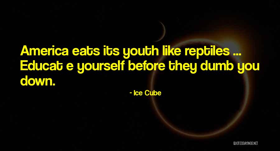 Reptiles Quotes By Ice Cube
