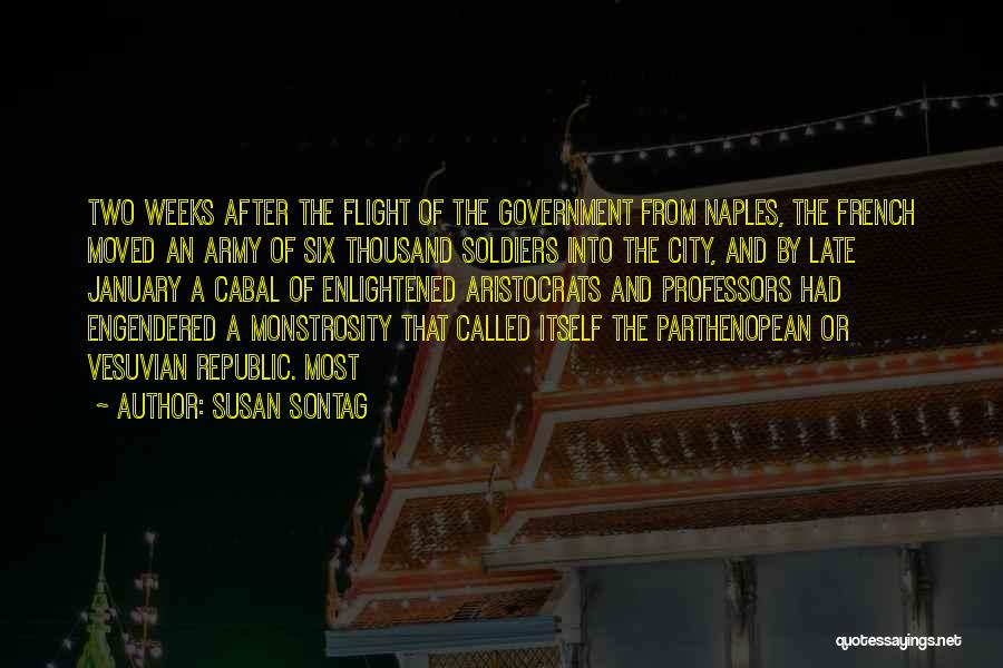 Republic Government Quotes By Susan Sontag