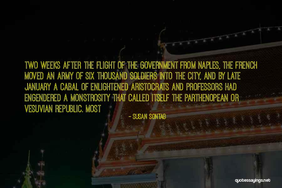 Republic Government Quotes By Susan Sontag Republic Government Quotes By Susan Sontag