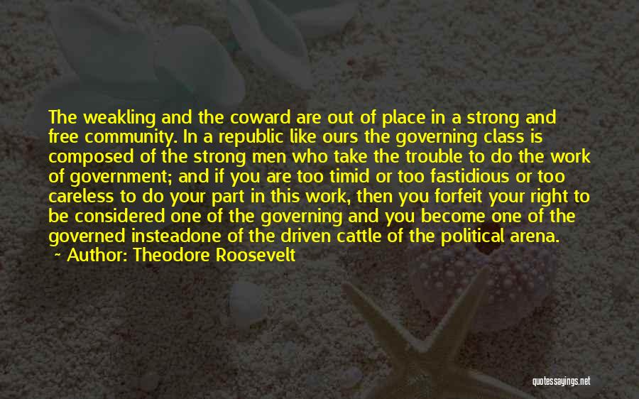 Republic Government Quotes By Theodore Roosevelt