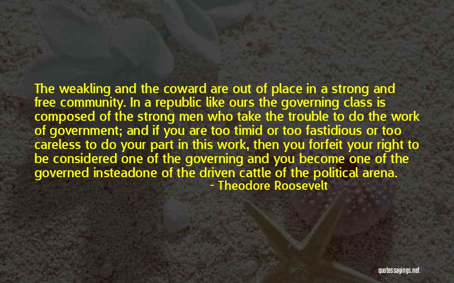 Republic Government Quotes By Theodore Roosevelt Republic Government Quotes By Theodore Roosevelt
