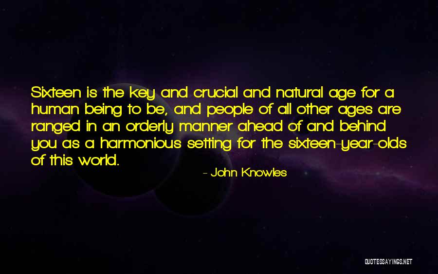Repulsion Induction Quotes By John Knowles Repulsion Induction Quotes By John Knowles