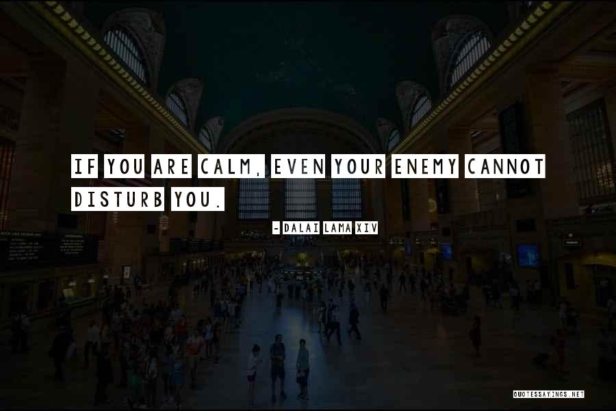 Requesting Prayer Quotes By Dalai Lama XIV Requesting Prayer Quotes By Dalai Lama XIV