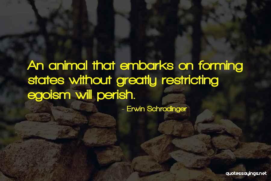 Requieren Sinonimo Quotes By Erwin Schrodinger Requieren Sinonimo Quotes By Erwin Schrodinger