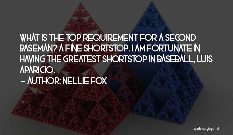 Requirement Quotes By Nellie Fox