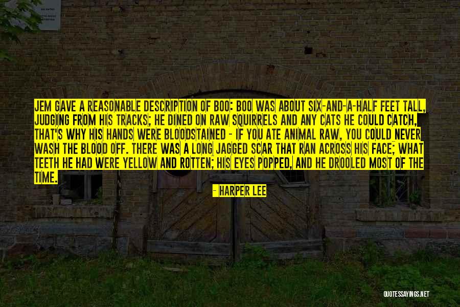 Rerng Nitean Quotes By Harper Lee Rerng Nitean Quotes By Harper Lee