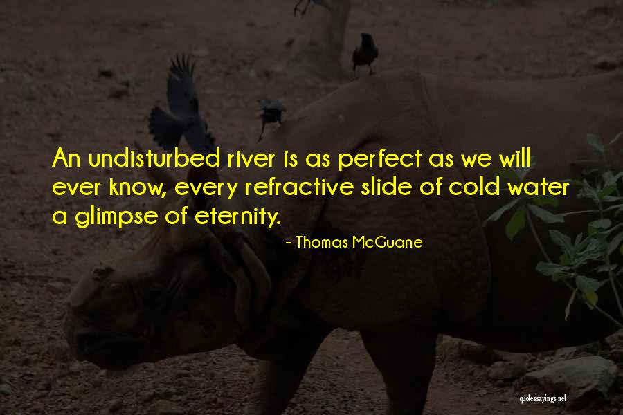 Rescatado Por Quotes By Thomas McGuane Rescatado Por Quotes By Thomas McGuane