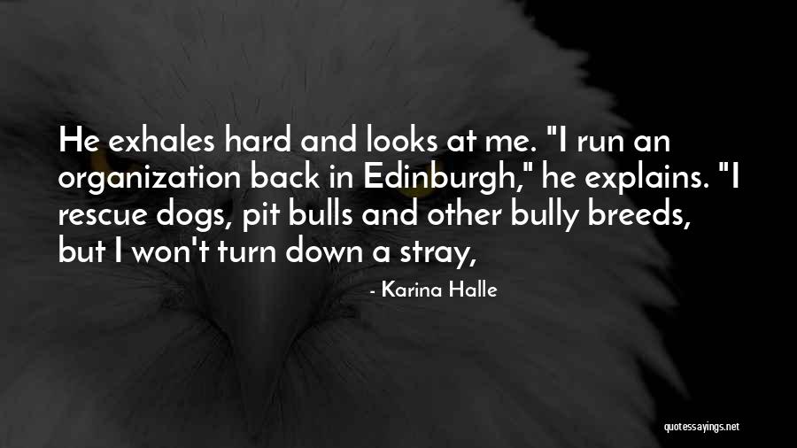 Rescue Quotes By Karina Halle