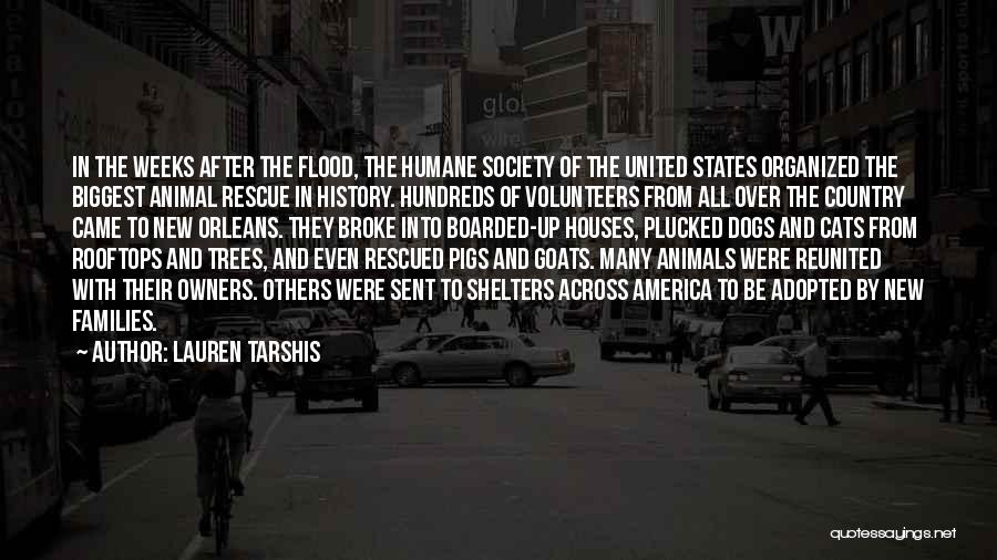 Rescued Animal Quotes By Lauren Tarshis