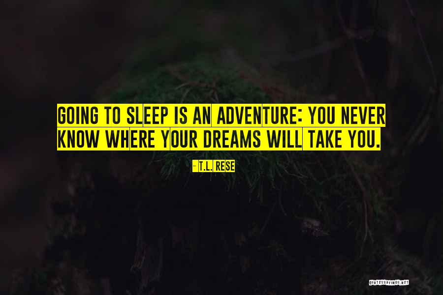 Rese A Quotes By T.L. Rese