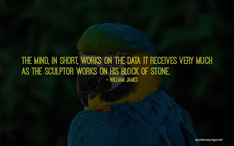 Research Theories Quotes By William James Research Theories Quotes By William James