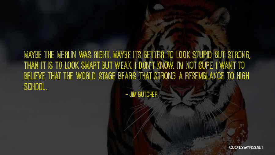 Resemblance Is Quotes By Jim Butcher Resemblance Is Quotes By Jim Butcher