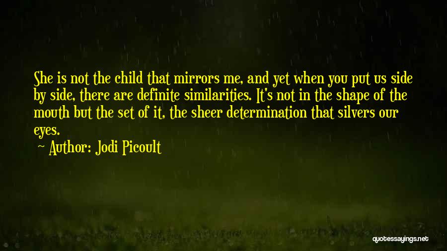 Resemblance Quotes By Jodi Picoult