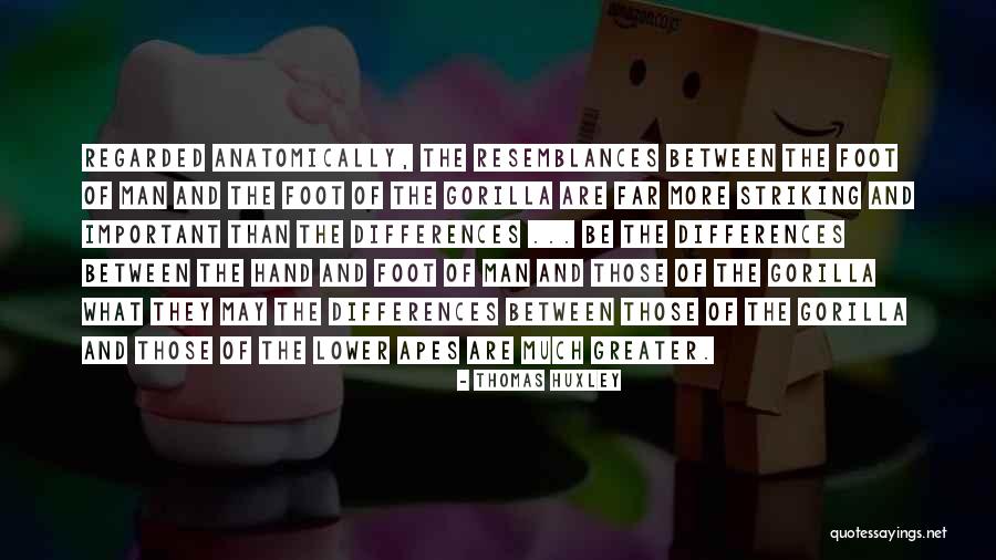 Resemblances Between Quotes By Thomas Huxley Resemblances Between Quotes By Thomas Huxley