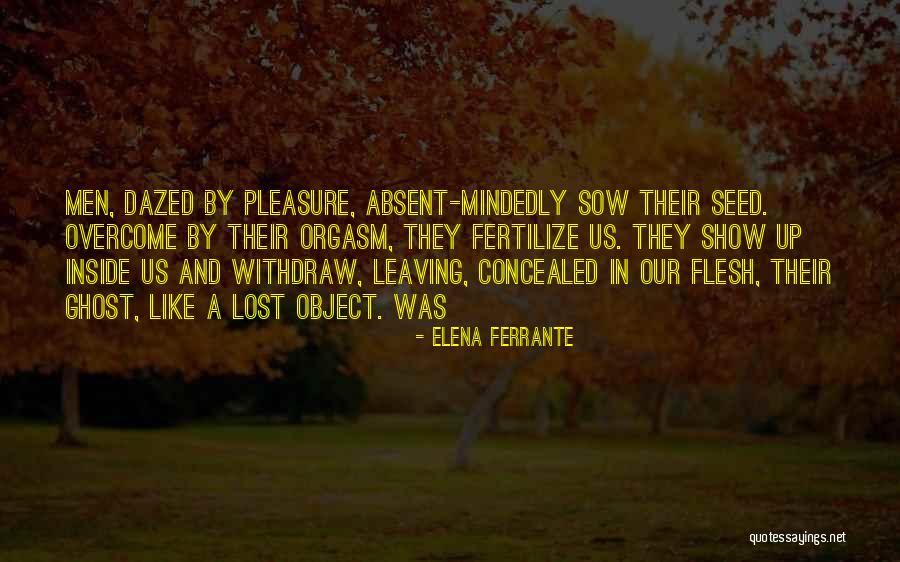Resendez Quotes By Elena Ferrante Resendez Quotes By Elena Ferrante