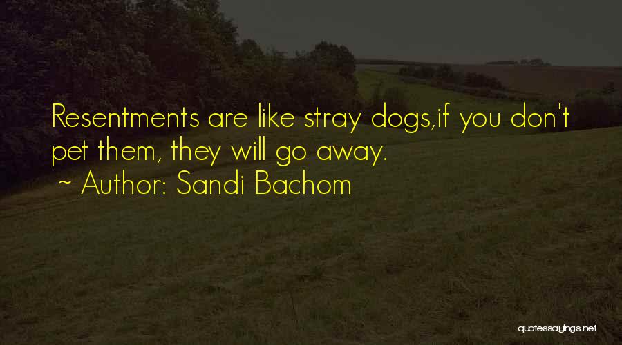 Resentments Quotes By Sandi Bachom