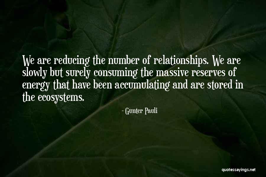 Reserves Quotes By Gunter Pauli