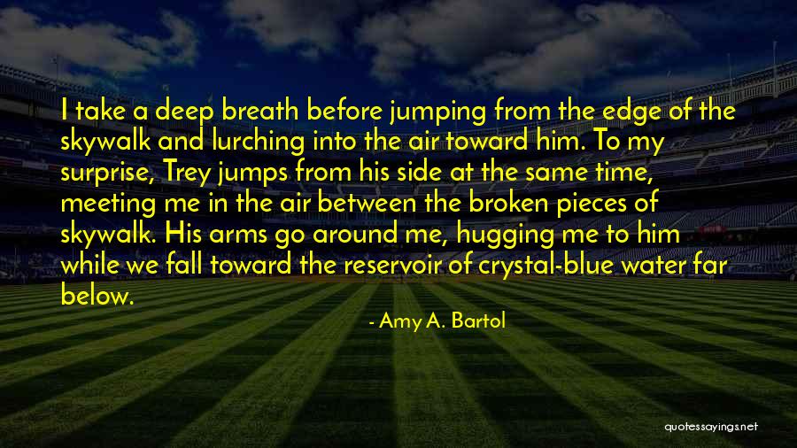 Reservoir Quotes By Amy A. Bartol