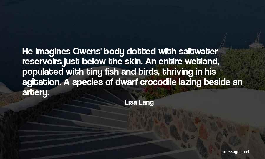 Reservoirs Quotes By Lisa Lang Reservoirs Quotes By Lisa Lang