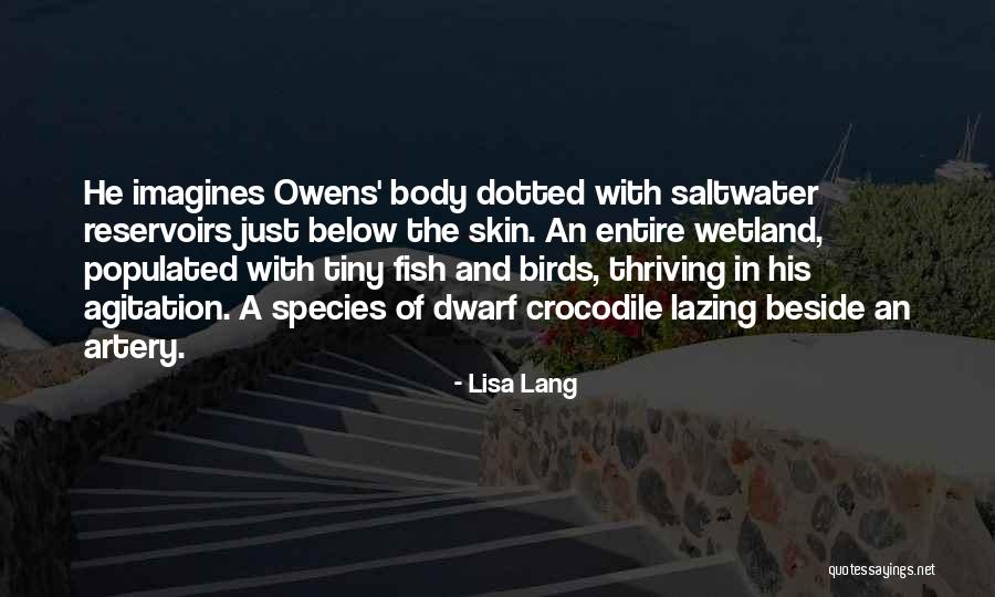 Reservoirs Quotes By Lisa Lang