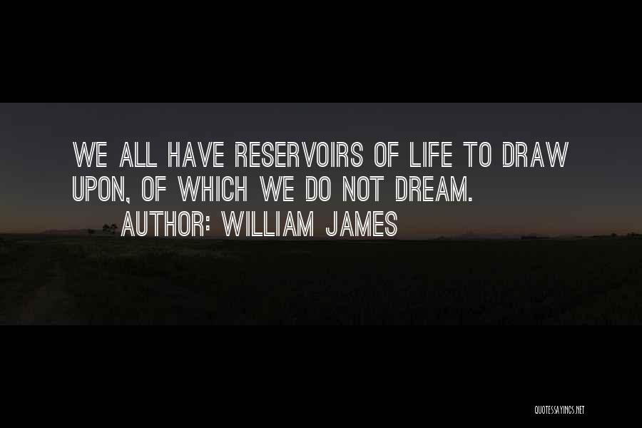Reservoirs Quotes By William James