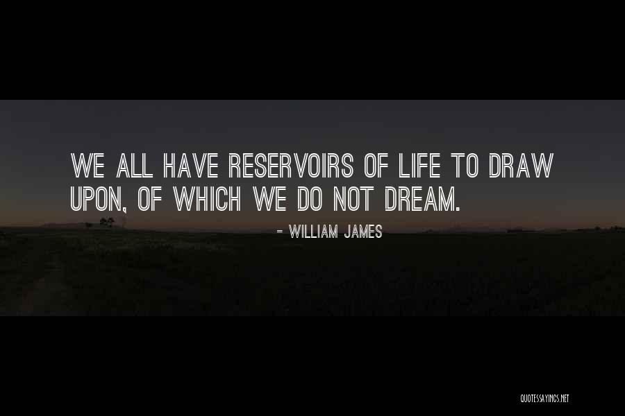 Reservoirs Quotes By William James