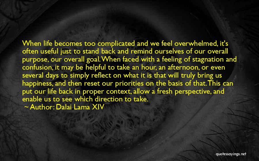 Reset Quotes By Dalai Lama XIV