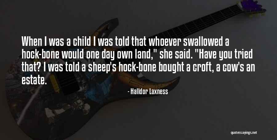 Reshape Python Quotes By Halldor Laxness Reshape Python Quotes By Halldor Laxness