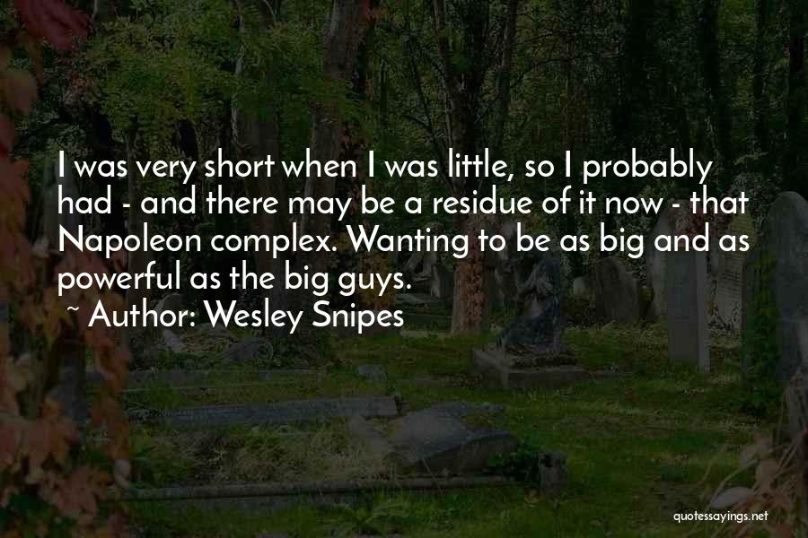 Residue Quotes By Wesley Snipes