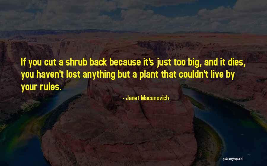 Residuos Inorganicos Quotes By Janet Macunovich Residuos Inorganicos Quotes By Janet Macunovich