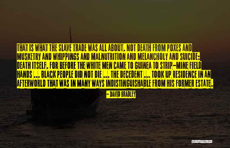 Resignolo Quotes By David Bradley Resignolo Quotes By David Bradley