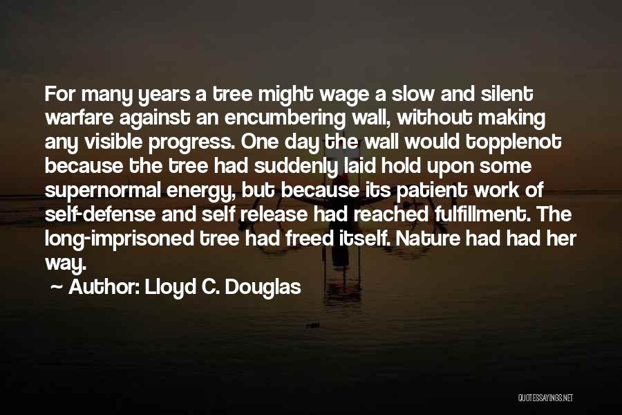 Resilience At Work Quotes By Lloyd C. Douglas