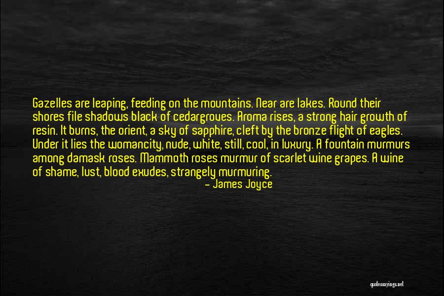 Resin Quotes By James Joyce Resin Quotes By James Joyce