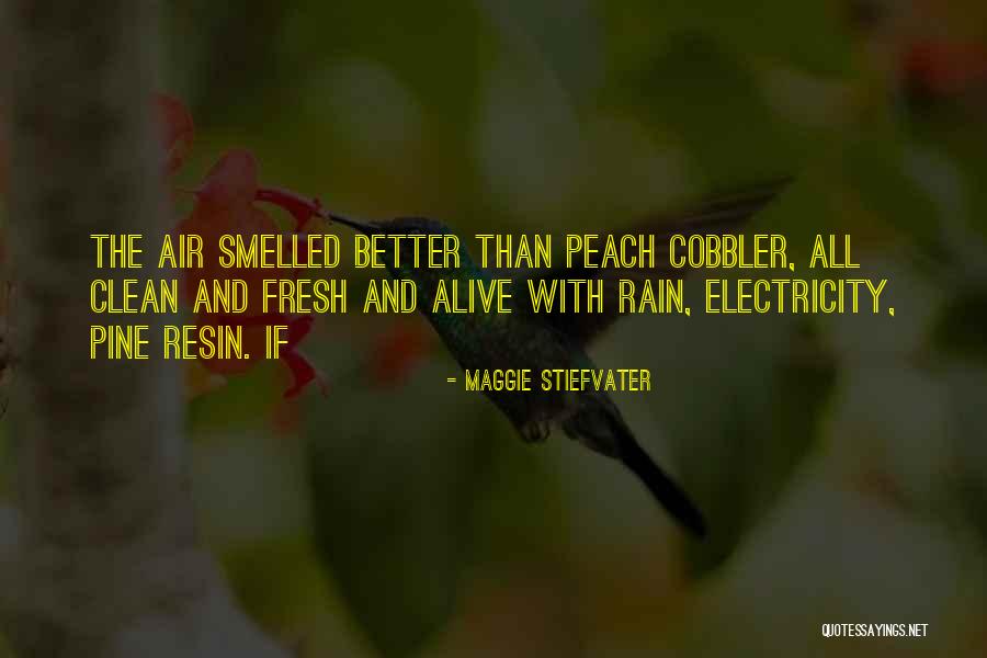 Resin Quotes By Maggie Stiefvater Resin Quotes By Maggie Stiefvater