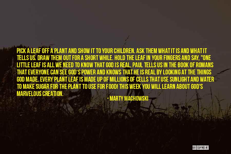 Resinas Compostas Quotes By Marty Machowski Resinas Compostas Quotes By Marty Machowski